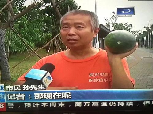 泰山吃瓜群众事件,一场网络舆论的风暴与反思 第1张 泰山吃瓜群众事件,一场网络舆论的风暴与反思 第1张