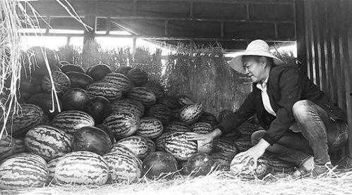 泰山吃瓜群众事件,一场网络舆论的风暴与反思 第2张 泰山吃瓜群众事件,一场网络舆论的风暴与反思 第2张