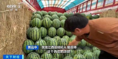 曹县吃瓜了,揭秘网络热点的背后真相  第2张