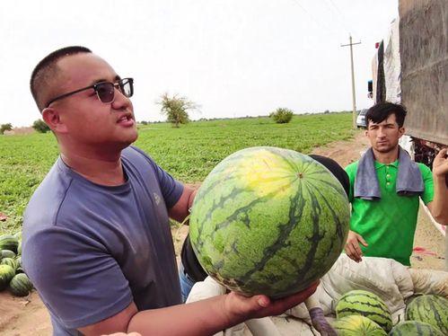 曹县吃瓜了,揭秘网络热点的背后真相  第3张