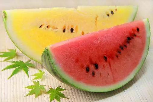 专吃高端瓜,揭秘专吃高端瓜的传奇故事  第1张