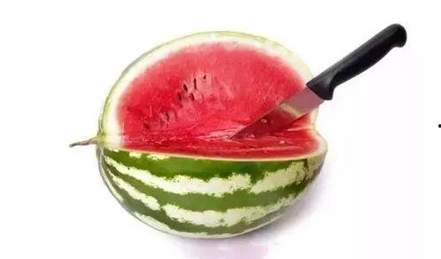 专吃高端瓜,揭秘专吃高端瓜的传奇故事  第2张