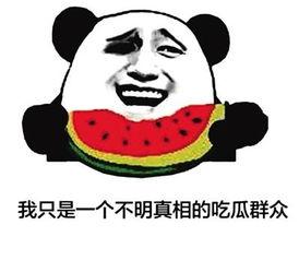 吃瓜专业术语,一网打尽瓜圈黑话 第2张 吃瓜专业术语,一网打尽瓜圈黑话 第2张