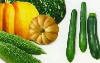 小唐吃瓜后续,揭秘娱乐圈背后的秘密与真相 第2张 小唐吃瓜后续,揭秘娱乐圈背后的秘密与真相 第2张