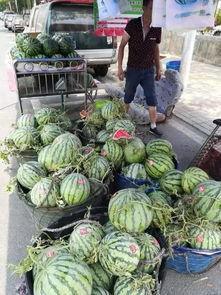 康县网红吃瓜事件,一场网络舆论的风暴与反思  第1张