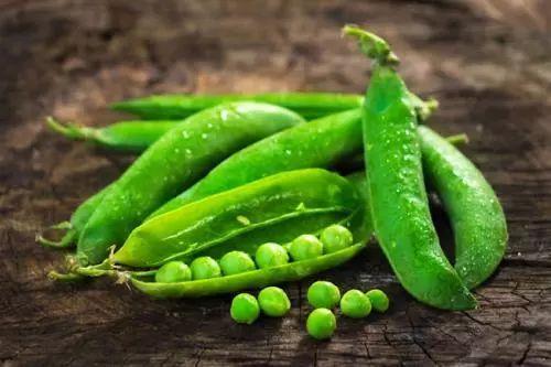 吃瓜得瓜吃豆人  第1张