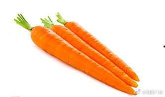 吃瓜犯困  第3张