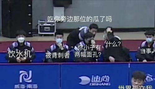 国乒线上吃瓜,一场别开生面的“吃瓜”盛宴  第3张