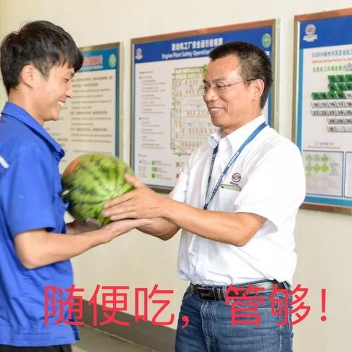 飞扬吃瓜,揭秘娱乐圈那些不为人知的幕后故事  第1张