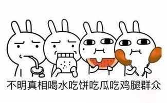 面吃瓜,品味传统，吃出瓜香  第3张