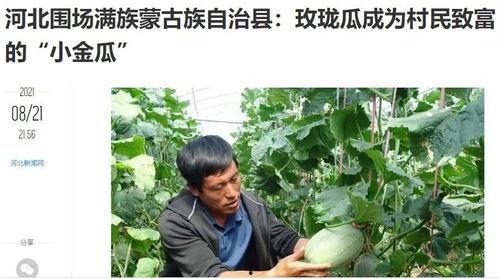 吃瓜新闻有哪些,吃瓜新闻背后的真相与幕后故事  第2张