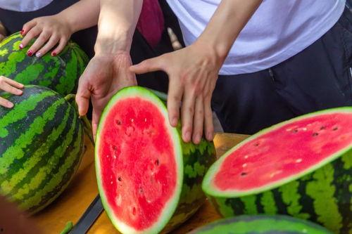 天津大学 吃瓜,揭秘校园热点事件背后的故事  第1张