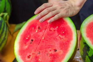 天津大学 吃瓜,揭秘校园热点事件背后的故事  第3张