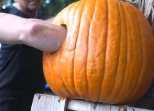 挑战吃世界上最小的瓜  第2张