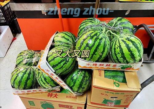 郑州酒店吃瓜,揭秘幕后真相与网络热议  第1张