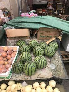 郑州酒店吃瓜,揭秘幕后真相与网络热议  第3张