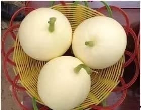 小白瓜甜瓜怎么吃,小白瓜甜瓜的多样食法探索  第3张