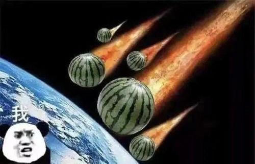 趣味吃瓜文案句子  第1张