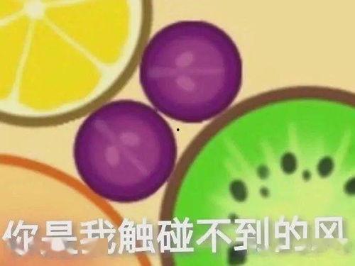 吃瓜大赛音频素材,笑料百出，趣味横生  第2张