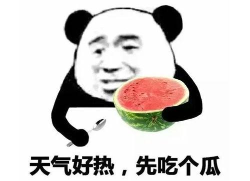 吃瓜吃瓜子表情包,吃瓜吃瓜子表情包大集合  第2张