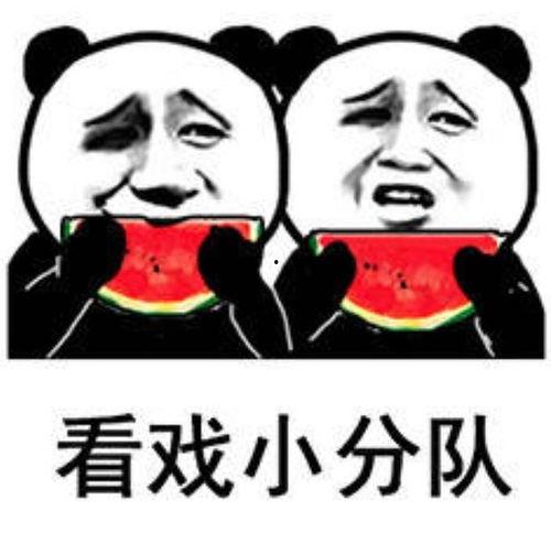 吃瓜吃瓜子表情包,吃瓜吃瓜子表情包大集合  第3张